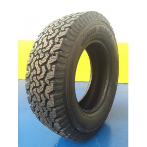 good_rider_1160640493